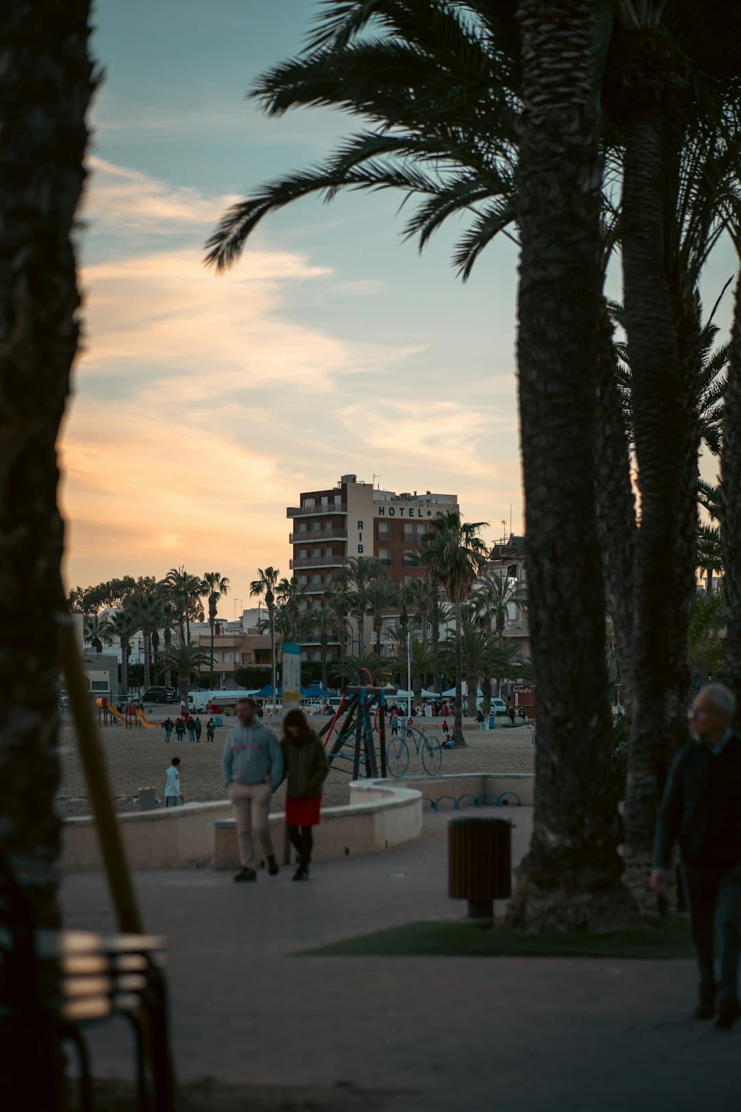 Cala Viñes