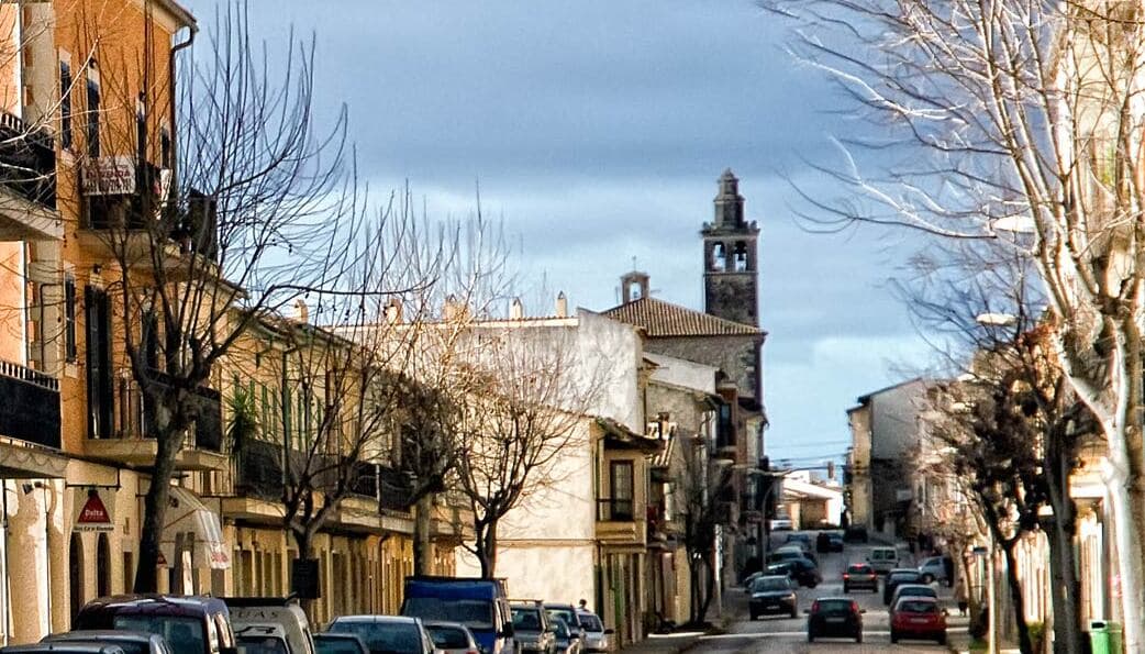 Consell