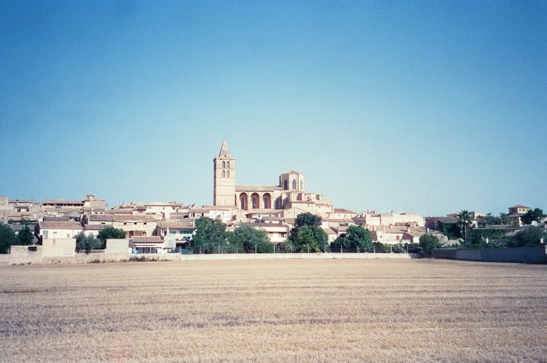 El Toro