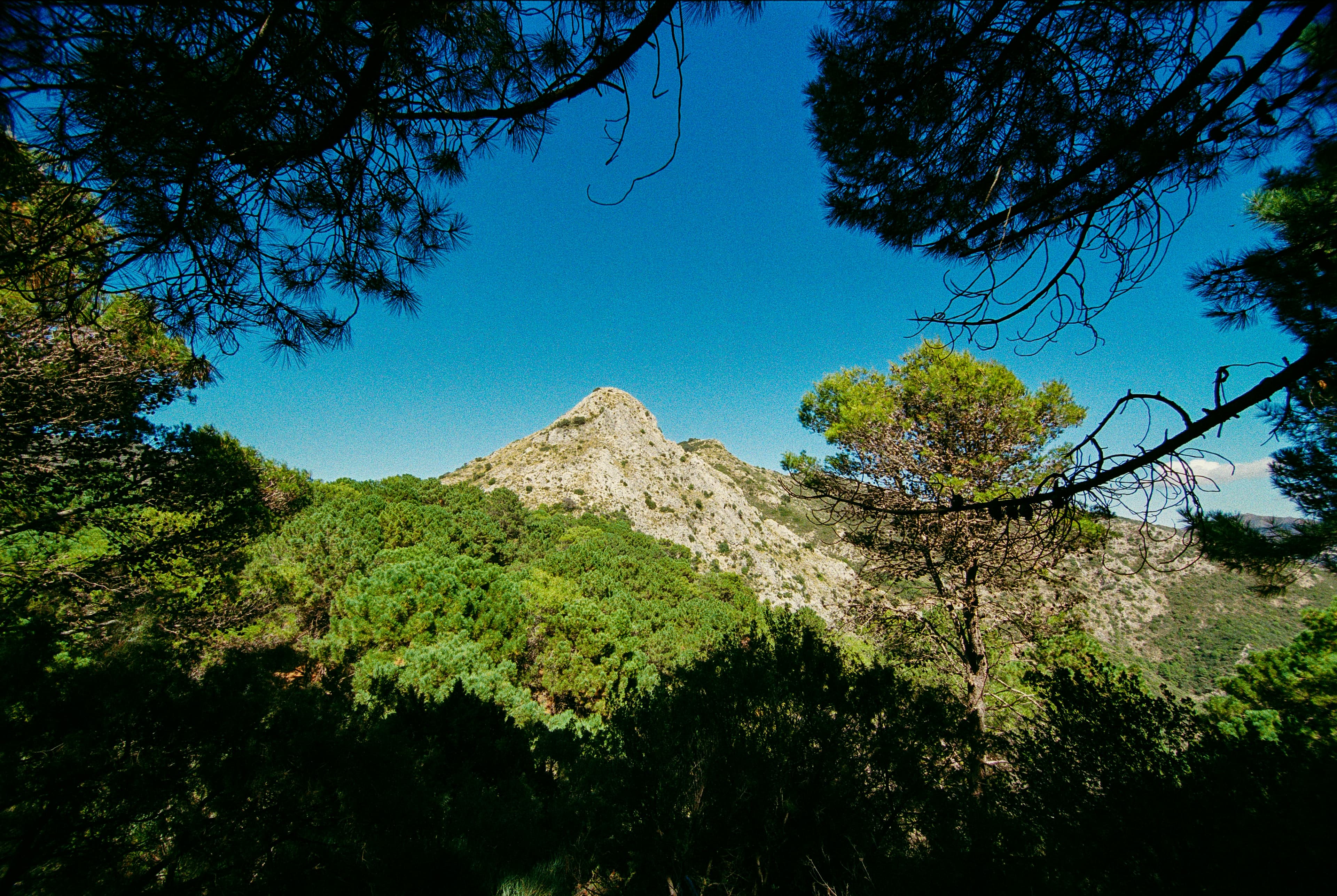 Halbinsel Victòria / Cap des Pinar