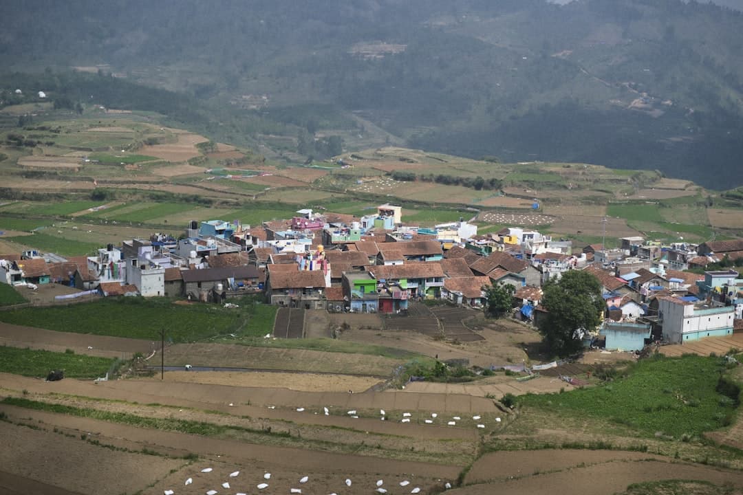 Juaneda