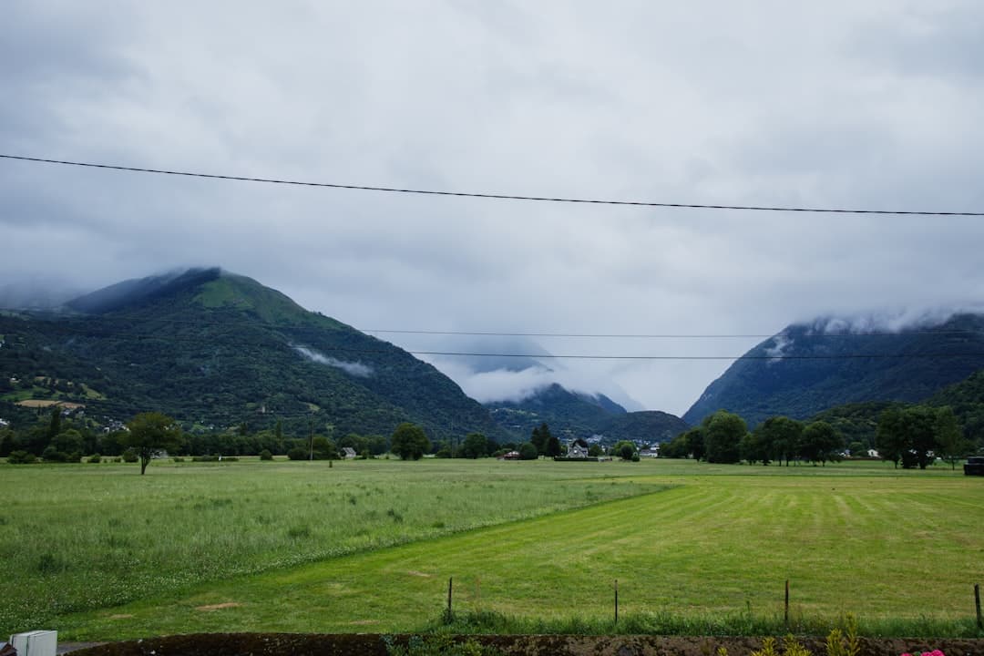 LAU