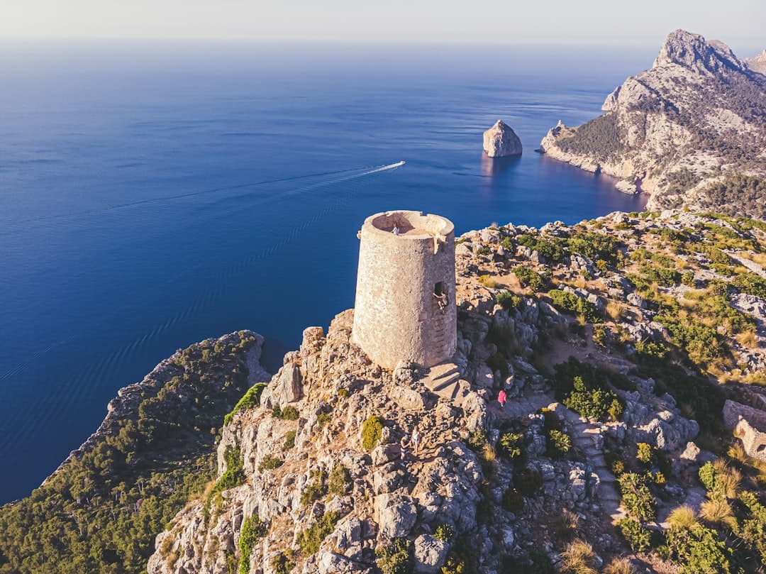 Palma vs. Santa Ponça vs. Sóller vs. Alcúdia — Orte im Expat-Vergleich