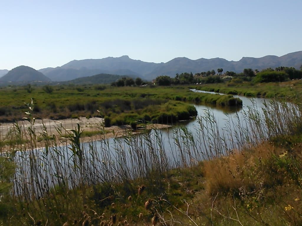 S'Albufereta de Pollença