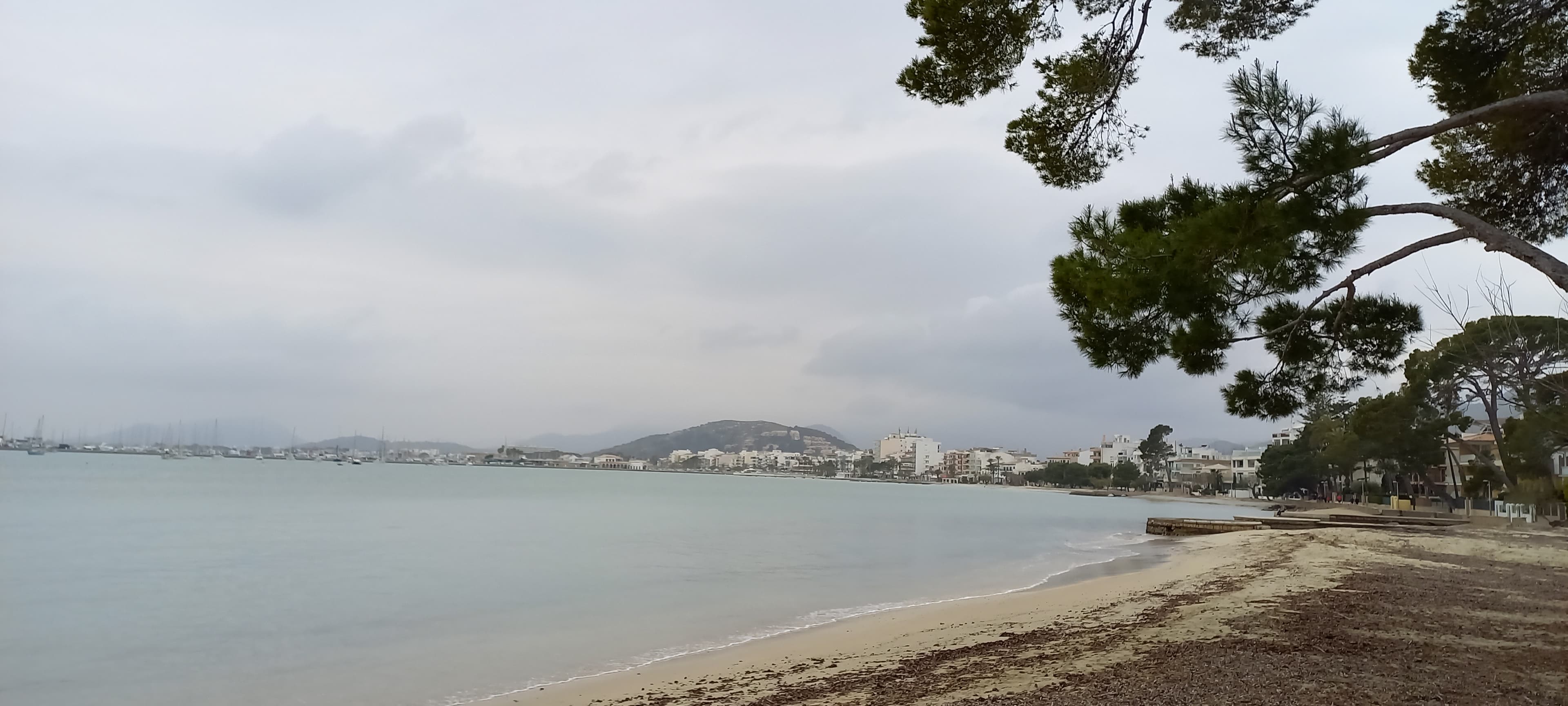 Port de Pollença