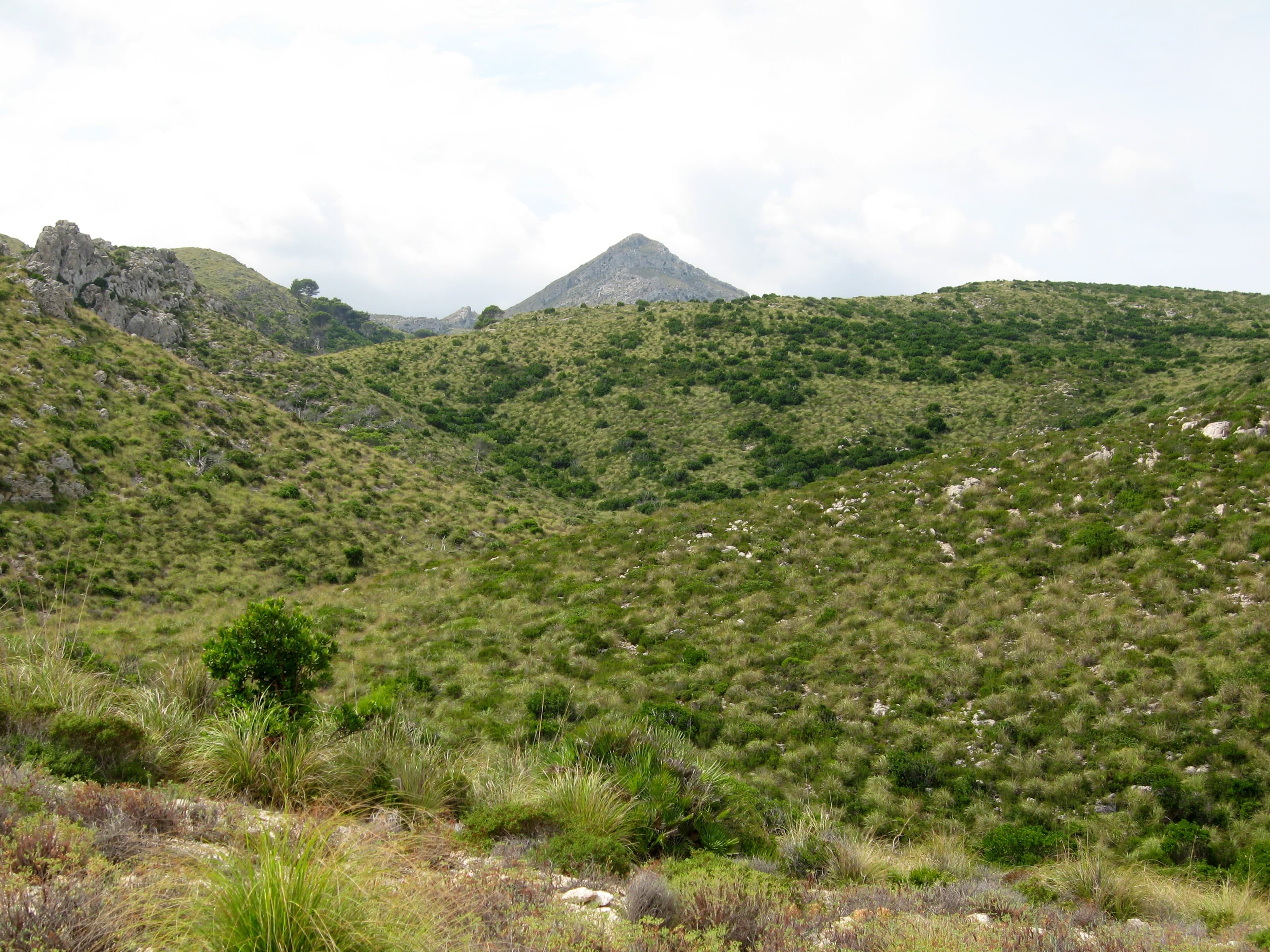 Puig Morei