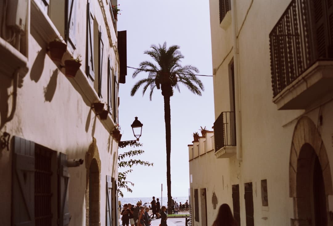 Sa Pobla