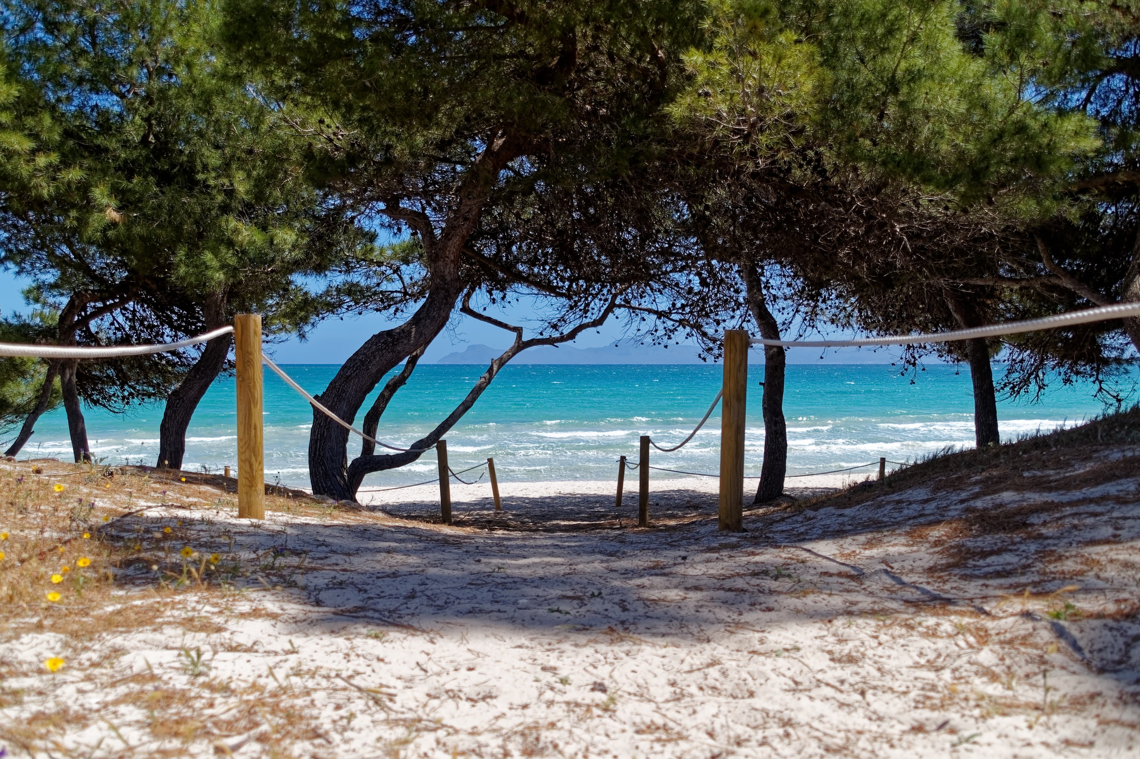 Wassersport Alcúdia