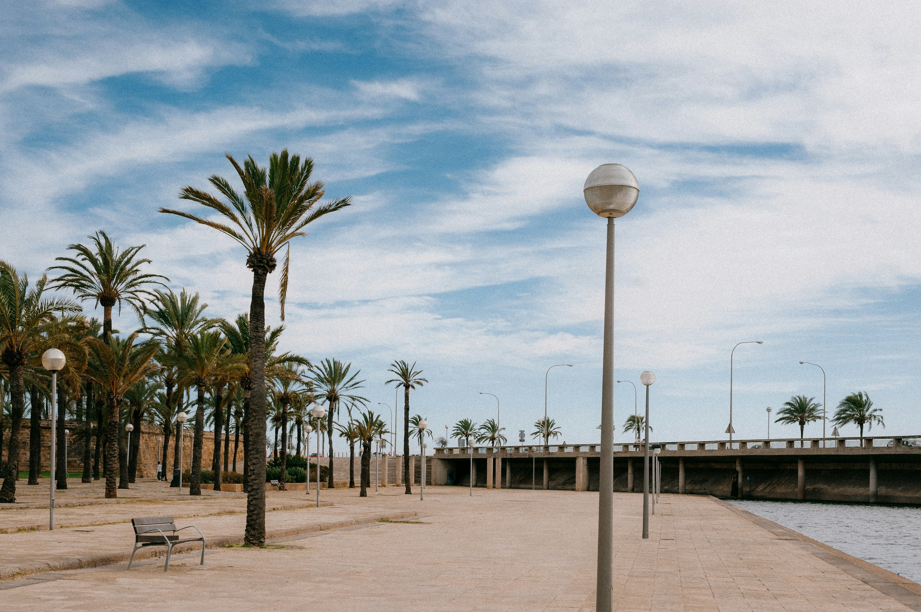 Wochenmarkt Alcúdia