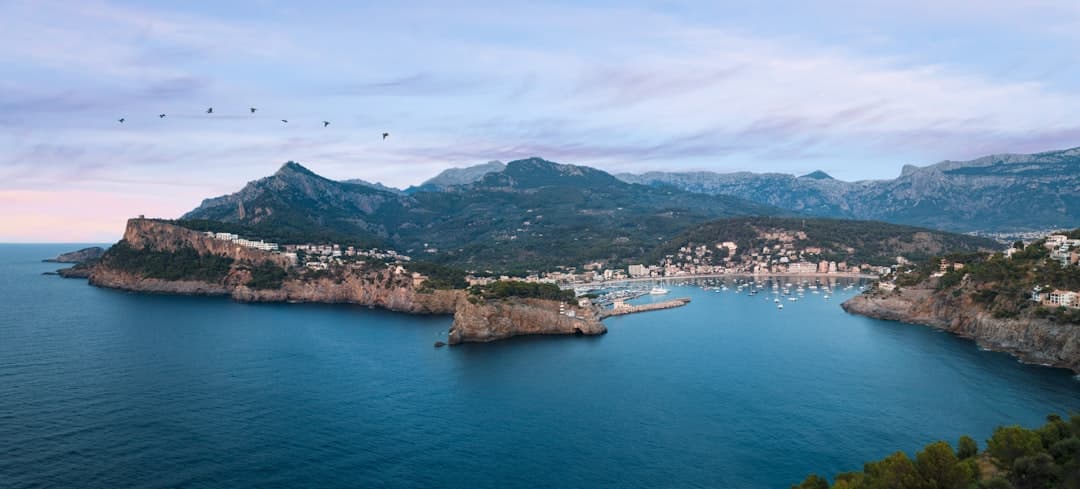 Zehn Gründe für eine professionelle Relocation-Agentur auf Mallorca
